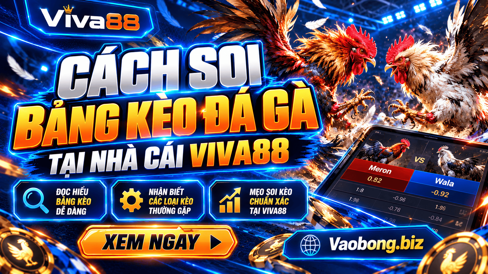 Cách soi bảng kèo đá gà tại nhà cái Viva88 Cách soi bảng kèo đá gà tại nhà cái Viva88