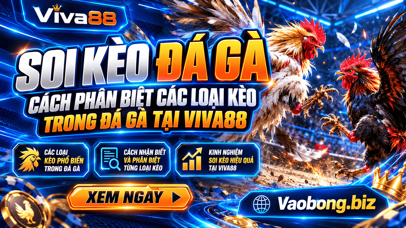Soi kèo đá gà - Cách phân biệt các loại kèo trong đá gà tại Viva88 Soi kèo đá gà - Cách phân biệt các loại kèo trong đá gà tại Viva88